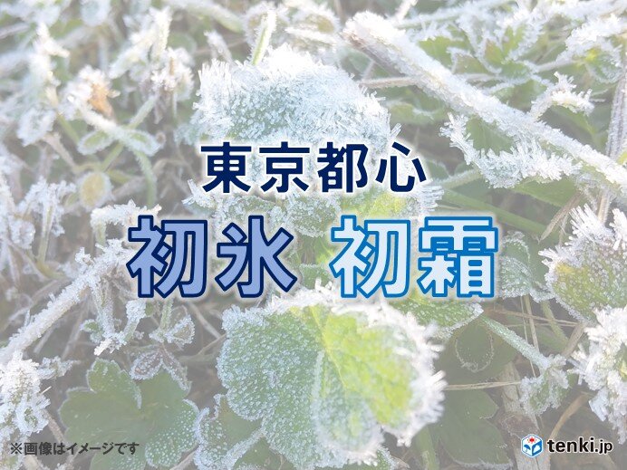 東京都心　今季一番の寒い朝で初氷・初霜を観測
