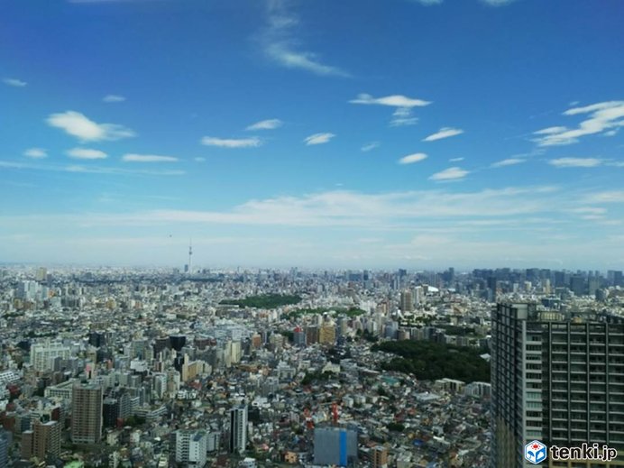 都心は真夏のような青い空　各地で暑い!