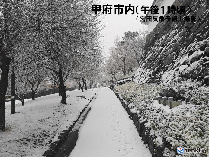 甲府と河口湖　今シーズン初の積雪　山沿いでは大雪に注意