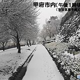 甲府と河口湖　今シーズン初の積雪　山沿いでは大雪に注意