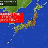 全国で今年初の37度台　新潟県長岡市