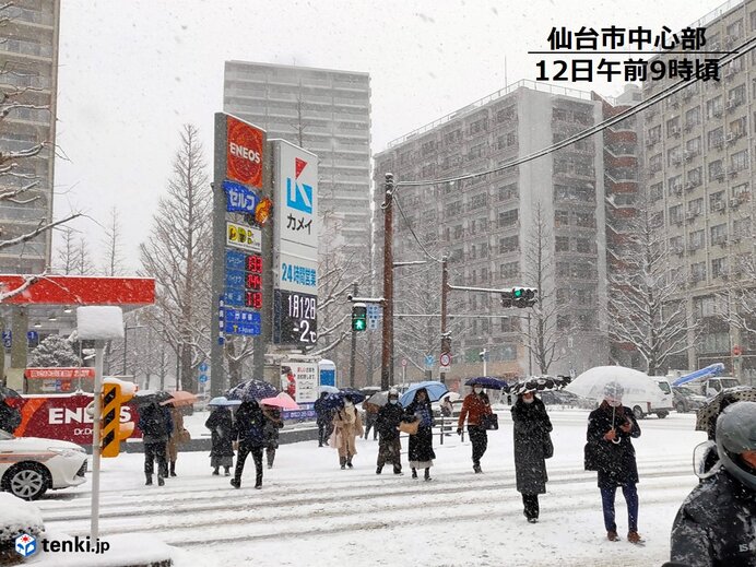 仙台積雪8cm 東北太平洋側も昼過ぎまで交通影響注意 午前11時現在 日直予報士 2021年01月12日 日本気象協会 Tenki Jp