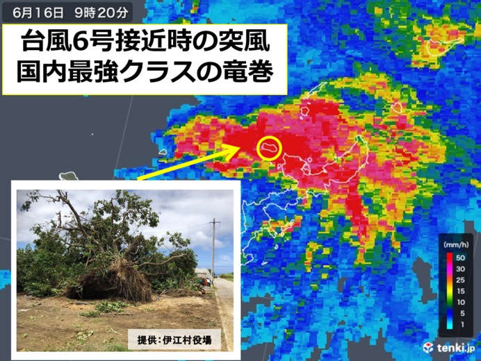 沖縄に襲来した台風6号　国内最強クラスの竜巻