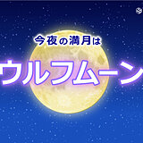 今年最初の満月は「ウルフムーン」　見られる所は?