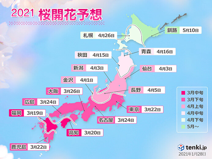 2021年桜開花予想　全国的に平年より早い開花に　日本気象協会発表