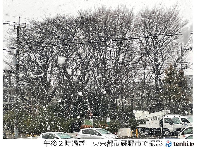 東京都内で大粒の雪 都心では4日ぶりに一桁の最高気温(日直予報士 2021年01月28日) - 日本気象協会 tenki.jp