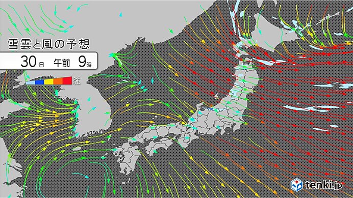 北海道で記録的な降雪量に この後も日本海側中心に冬の嵐で暴風雪に警戒(日直予報士 2021年01月29日) - 日本気象協会 tenki.jp - tenki.jp