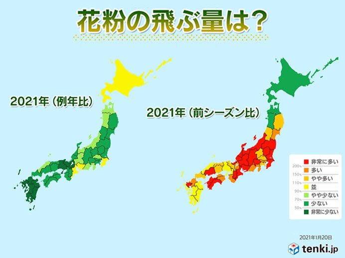 花粉の飛散量　例年よりは少ない