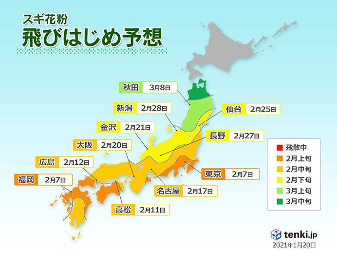 関東から九州　スギ花粉が飛び始める予想