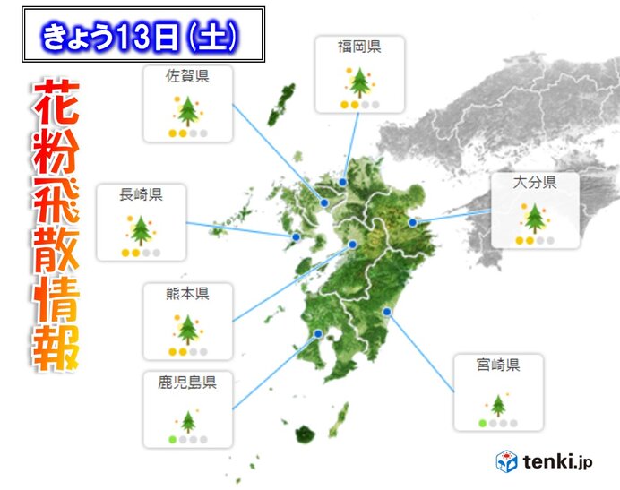 13日 花粉飛散情報 九州北部で やや多い 気象予報士 樋口 康弘 21年02月13日 日本気象協会 Tenki Jp