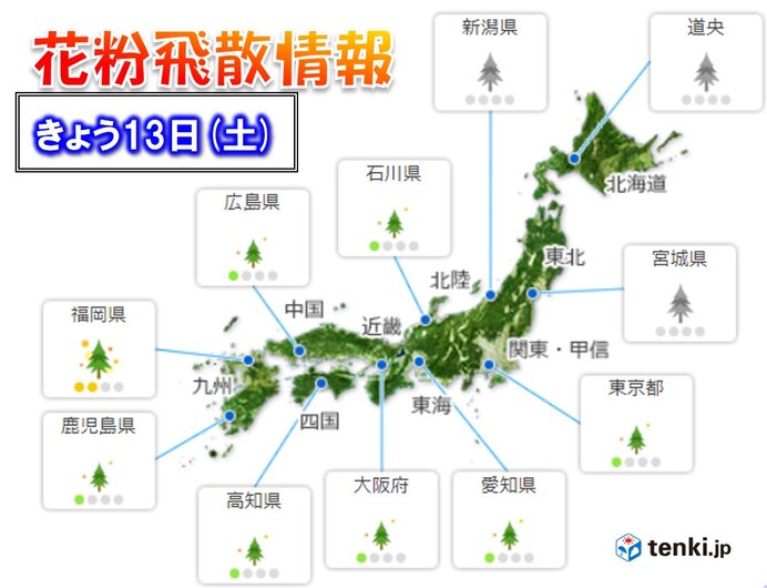 13日　花粉飛散情報　九州北部で「やや多い」