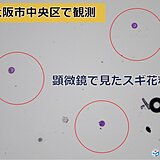 大阪でスギ花粉本格飛散開始　今週末は大量飛散の所も