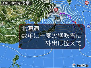 北海道 数年に一度の猛吹雪 外出は控えて
