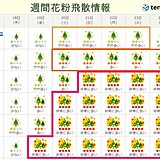 日曜から月曜をピークに気温上昇　花粉急増　大量飛散か