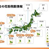 20日　気温上昇　スギ花粉飛散　「多い」所も