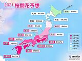 2021年桜開花予想 トップは福岡など3月16日 東京3月17日