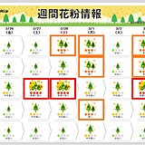 西日本だけでなく　東日本もスギ花粉のピークへ　東京で「多い」予想の日も