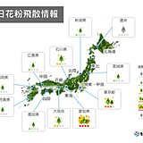 雨や曇りでもスギ花粉飛散　東海・関東中心に引き続き花粉対策を