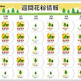 スギ花粉　西日本に加え　東海や関東もピークに　「非常に多く」飛ぶ日は?