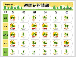 今日 花粉 情報