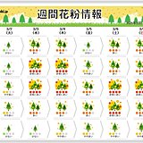 気になるスギ花粉　今週は「非常に多く」飛ぶ日も　各地のピークいつまで?