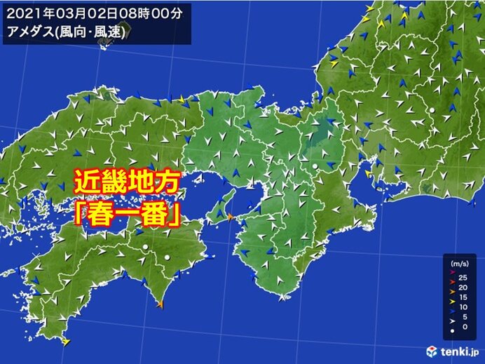 近畿地方で「春一番」