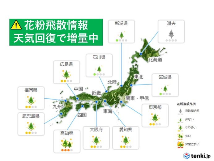 3日　花粉の飛散数増量中