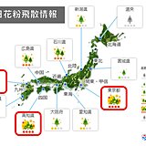 きょうもスギ花粉「大量飛散」のおそれ　東京など「非常に多い」予想