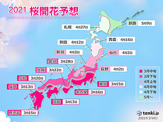 2021年桜開花予想　開花トップ福岡など13日　満開トップは東京22日