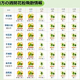 関東　あすはスギ花粉が大量飛散　昼前後と日没前後は万全の対策を