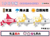 北海道の1か月予報と桜開花予想　気温は高め　桜の開花も早く