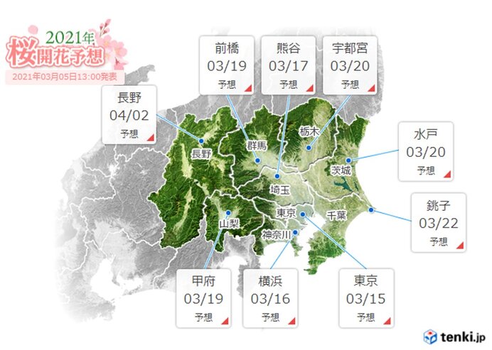 来週後半　桜のつぼみが膨らむ暖かさ　開花はいつ?
