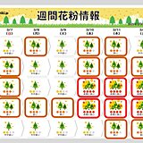 スギ花粉　今日はどこで多い?　来週も「非常に多い」所も　ピークいつまで