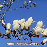 関西　春の草花の生長が進む一週間に