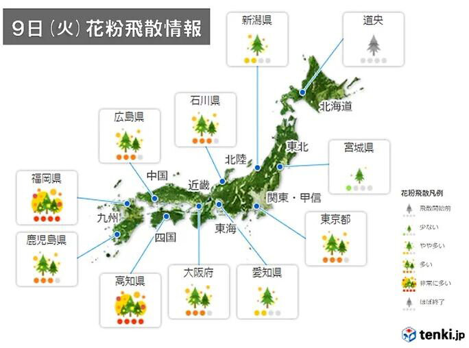 9日 火 花粉飛散情報 九州や四国を中心に 非常に多い 所も 気象予報士 安齊 理沙 21年03月09日 日本気象協会 Tenki Jp