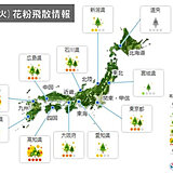 9日(火)　花粉飛散情報　九州や四国を中心に「非常に多い」所も