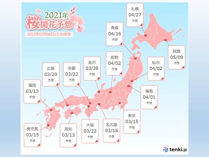 桜の開花も間近　花粉飛散に注意