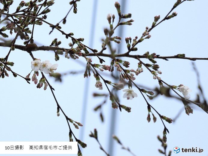 高知 県 宿毛 市 天気