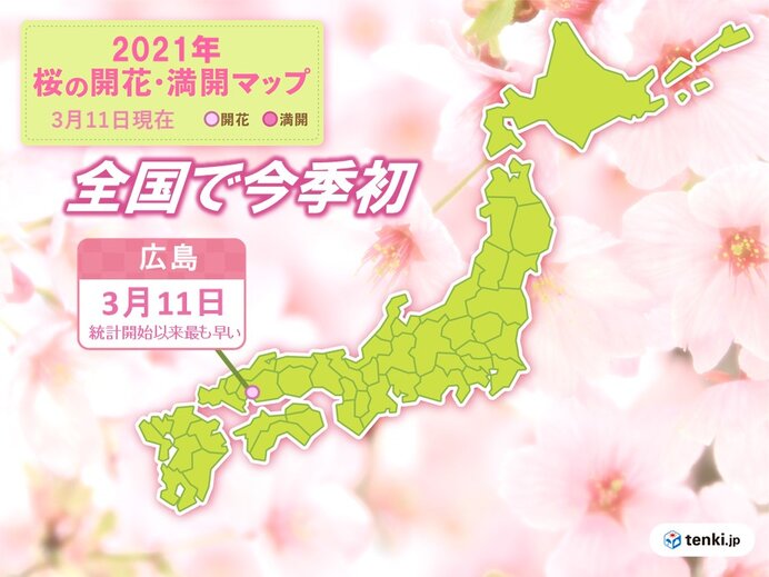 広島で今年全国トップで桜開花　広島からの桜前線スタートは統計開始以来初