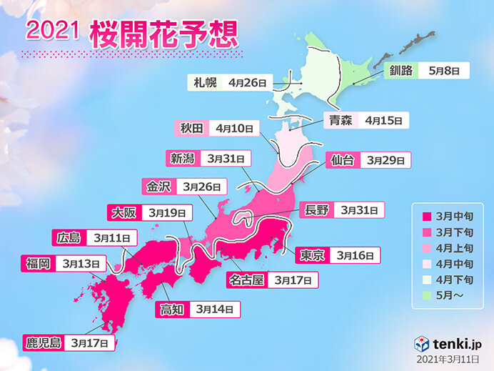 21年桜開花予想 広島など開花まで秒読み 東京など3月下旬には満開 気象予報士 白石 圭子 21年03月11日 日本気象協会 Tenki Jp