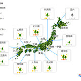 12日(金)　花粉飛散情報　西日本は雨で落ち着く　東日本は多いところも
