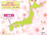 福岡で桜が開花　統計開始以来　最も早く