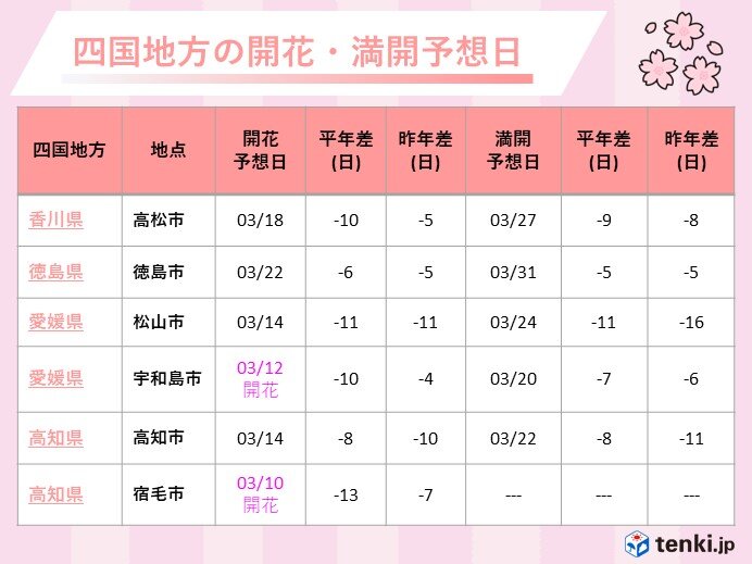 愛媛県宇和島市で桜開花 松山市や高知市もまもなく開花の予想 日直予報士 2021年03月12日 日本気象協会 Tenki Jp