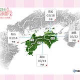 愛媛県宇和島市で桜開花　松山市や高知市もまもなく開花の予想