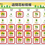 この先1週間「花粉大量飛散」も　ピークはスギからヒノキへ　いつまで注意