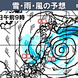 あす　関東以西は回復　ヒノキ含め花粉飛散注意　北日本は低気圧近づく