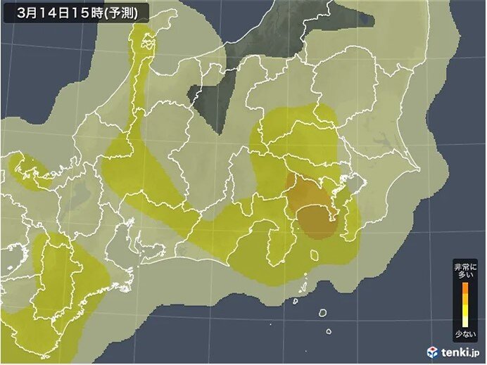 雨上がり　空気乾燥　風強め　花粉対策は万全に