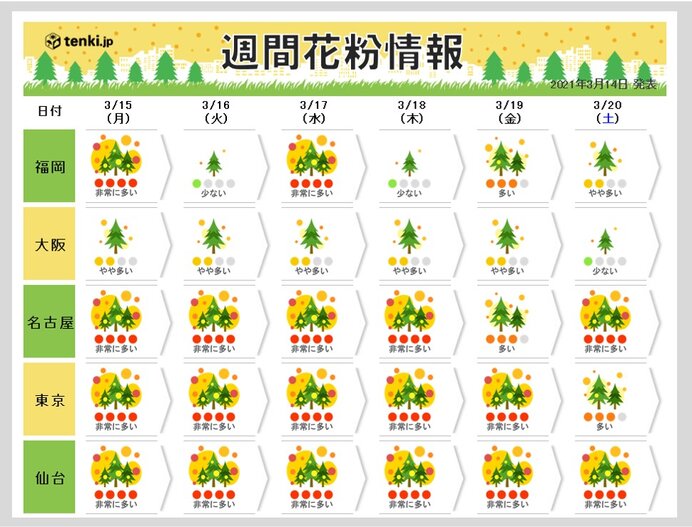 東京で桜が開花 スギ花粉のピークそろそろ終盤 都心でヒノキが飛散開始 日直予報士 21年03月14日 日本気象協会 Tenki Jp