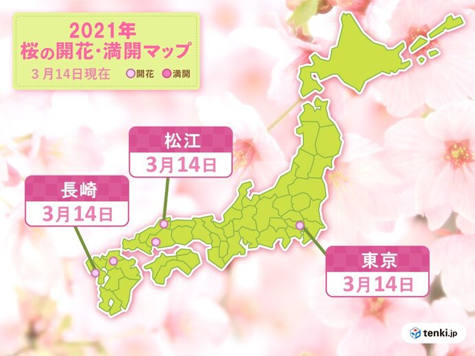 東京に続き 長崎や松江でも桜が開花 またも統計開始以来 最も早い開花 日直予報士 21年03月14日 日本気象協会 Tenki Jp