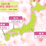 東京に続き　長崎や松江でも桜が開花　またも統計開始以来、最も早い開花